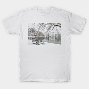 Snowy Benches by the Lake T-Shirt